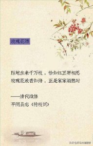 ​品鉴红酒 pdf(品鉴红酒的句子)