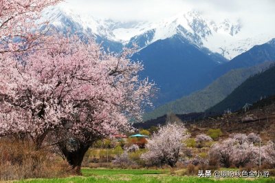 ​林芝海拔多少米介绍（西藏林芝那些值得打卡的景点）