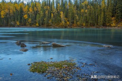 ​早上钓鱼钓浅还是钓深效果好（这三个基准点莫忽略）