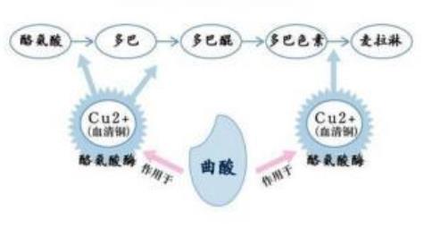 干性皮肤怎么去斑最好 坚持3原则斑点拜拜