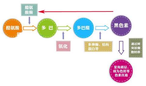 干性皮肤怎么去斑最好 坚持3原则斑点拜拜