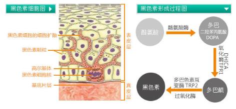 干性皮肤怎么去斑最好 坚持3原则斑点拜拜