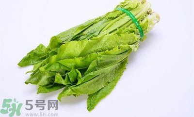 ​油麦菜孕妇能吃吗?孕妇吃油麦菜的好处