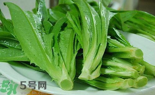 油麦菜不能和什么一起吃?油麦菜和什么相克