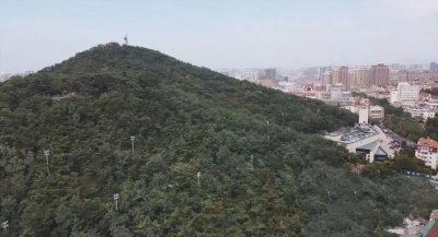 ​青岛山上这只“和平鸽”，是什么来历？