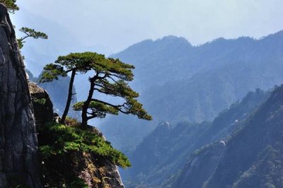 ​黄山市有什么好玩的景点？黄山市十大旅游景点排名