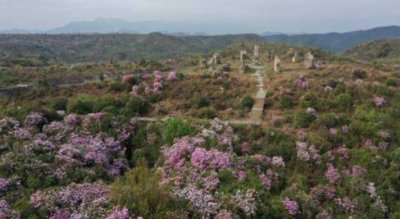 ​贵州毕节旅游景点排行榜前十 百里杜鹃.跳花坡第一名 织金洞暂居第二