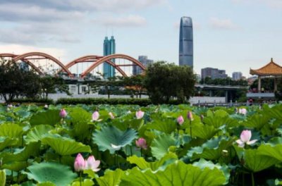 ​深圳十大免费景点排行 上榜的有洪湖公园和梧桐山