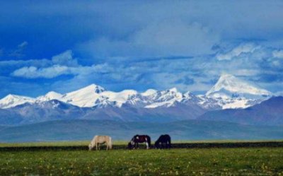 ​西藏十大热门景点 第一名:唐古拉山怒江园风景区 珠穆朗玛峰上榜