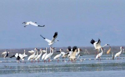 ​中国十大淡水湖大小排名，江苏独占三席