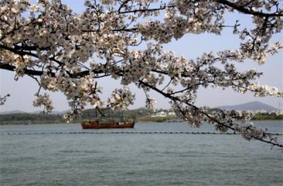 ​无锡十大最受欢迎景点，太湖第一 蠡园榜上有名 太湖荣登榜首