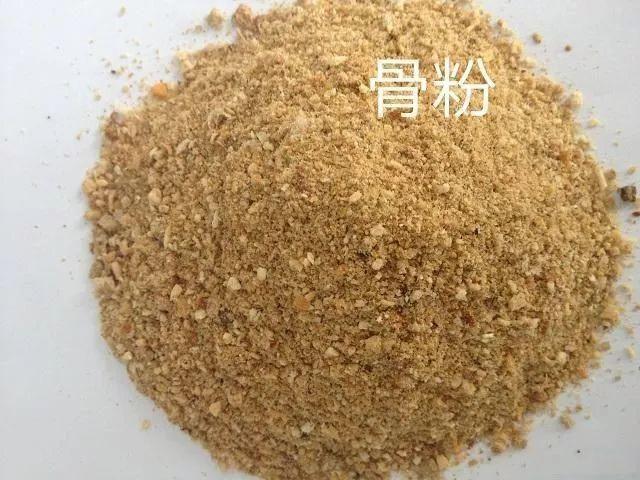 这几种多肉开花一定要小心，不及时处理，小心活不到明天！