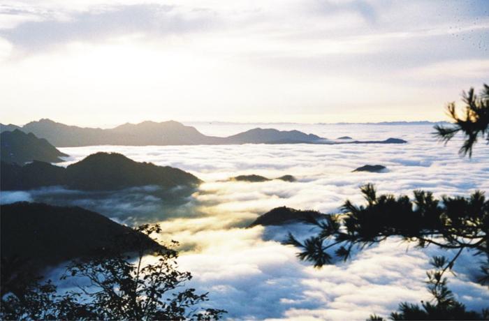 超美镇安木王山 有花有草有流水 看图就知道一定得去！