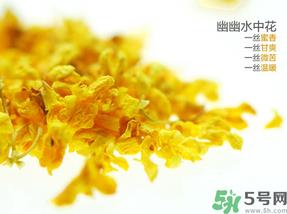 桂花可以泡水喝吗？桂花怎么泡水？