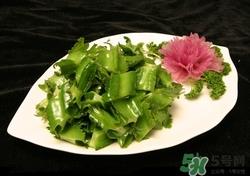 龙豆是什么?龙豆是四季豆吗