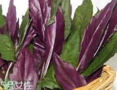 红背菜不能什么一起吃?红背菜和什么食物相克?