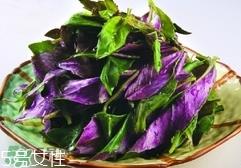 红背菜不能什么一起吃?红背菜和什么食物相克?