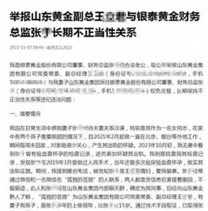 ​妻子出轨国企领导后续，聊天记录不堪入目，女主角是个知性美人