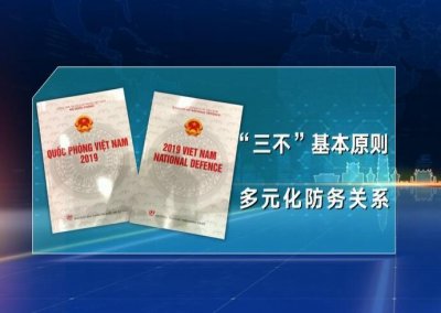 ​该来的终于来了？越南作出重大战略调整，专家：意在南海