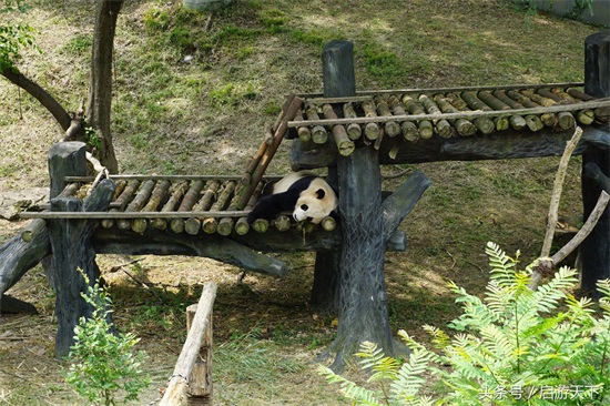 南京：红山森林动物园