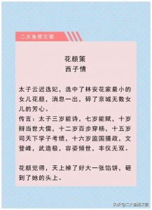 ​古风小说！权谋轻松搞笑文！强推《花颜策》《楚王妃》