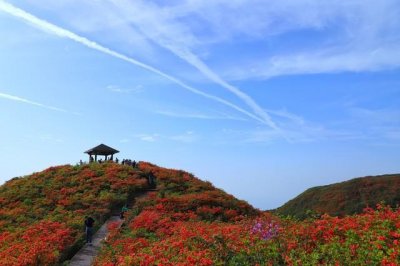 ​浏阳必去景点！不容错过！